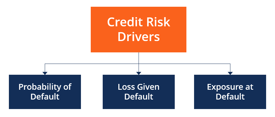 Tasks of a credit risk analyst