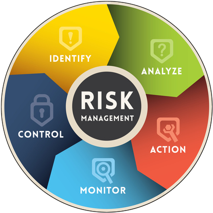What does a risk management consultant do