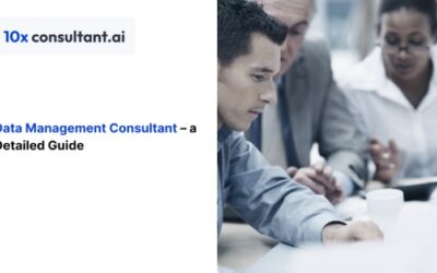 Data Management Consultant – a Detailed Guide